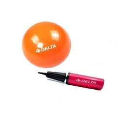 Võimlemispall Delta PMP02 Mini, 20 cm, oranž hind ja info | Võimlemispallid | kaup24.ee