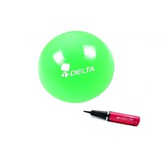 Võimlemispall Delta PMP03 Mini pumbaga, 20 cm, roheline hind ja info | Võimlemispallid | kaup24.ee