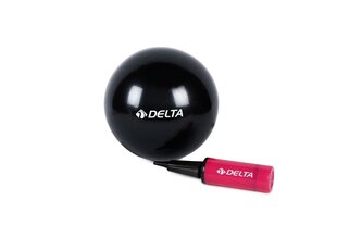 Võimlemispall Delta PMP13 Mini pumbaga, 25 cm, must hind ja info | Võimlemispallid | kaup24.ee