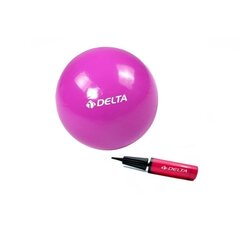Võimlemispall Delta PMP14 Mini pumbaga, 25 cm, lilla hind ja info | Võimlemispallid | kaup24.ee
