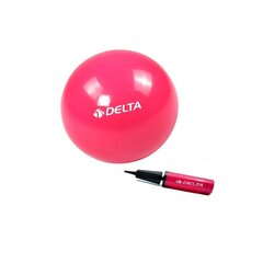 Võimlemispall Delta PMP17 Mini pumbaga, 30 cm, fuksia värv hind ja info | Võimlemispallid | kaup24.ee