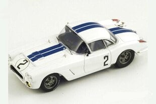 Mudelauto Chevrolet Corvette #2 Le Mans 1960 Thompson/Windridge S1538 Spark 1:43 hind ja info | Mudelautode kollektsioneerimine | kaup24.ee