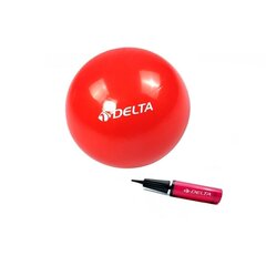 Võimlemispall Delta PMP12 Mini pumbaga, 25 cm, punane hind ja info | Võimlemispallid | kaup24.ee