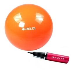 Võimlemispall Delta TRC pumbaga, 55 cm, oranž hind ja info | Võimlemispallid | kaup24.ee