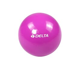 Võimlemispall Delta MRO359, 20 cm, lilla hind ja info | Võimlemispallid | kaup24.ee