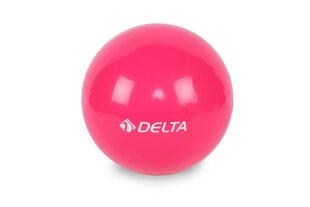 Võimlemispall Delta PBF320, 20 cm, roosa hind ja info | Võimlemispallid | kaup24.ee