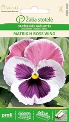 Võõrasema Matrix H Rose wing hind ja info | Lilleseemned | kaup24.ee