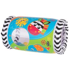 PLAYGRO muusikaline mänguasi Peek in Roller, 0184970 hind ja info | Imikute mänguasjad | kaup24.ee