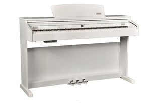 Artesia DP-3 + 88 klahviga elektriline klaver (valge) hind ja info | Klahvpillid | kaup24.ee