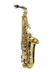 Saksofon Stewart Ellis SE-910-L hind ja info | Puhkpillid | kaup24.ee