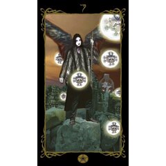 Taro kaardid Tarot Of Dark Angels hind ja info | Taro kaardid | kaup24.ee