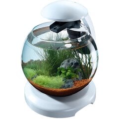 TETRA akvaarium Cascade Globe, 6,8 L hind ja info | Akvaariumid ja seadmed | kaup24.ee