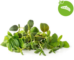 Click & Grow Plant Pod Italian Mix 9tk hind ja info | Nutipotid ja seemned | kaup24.ee