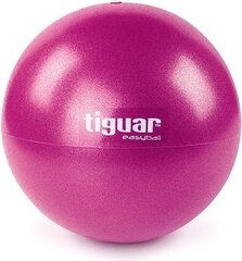 Võimlemispall Tiguar Easy Ball, 25 cm hind ja info | Võimlemispallid | kaup24.ee