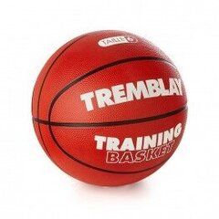 Korvpall Training 6 hind ja info | Korvpallid | kaup24.ee