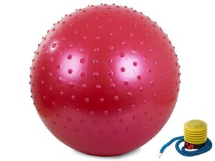 Fitness täispuhutav pall 55 cm pumbaga hind ja info | Võimlemispallid | kaup24.ee