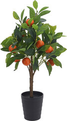 Kunsttaim Apelsinipuu, 70 cm hind ja info | Sisustuselemendid | kaup24.ee