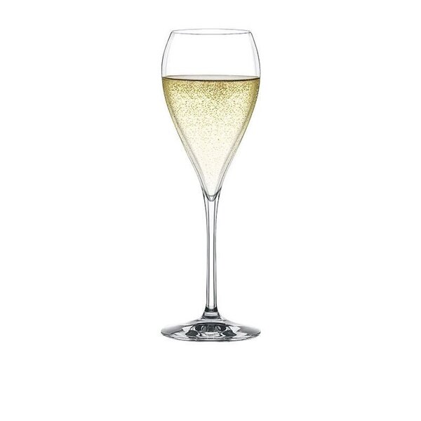 Spiegelau šampanja klaaside komplekt Party, 6 tk hind ja info | Klaasid, tassid ja kannud | kaup24.ee