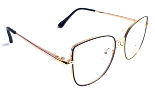 Dioptrita prillid hind ja info | Prillid | kaup24.ee