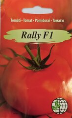 Tomat Rally F1 hind ja info | Köögivilja-, marjaseemned | kaup24.ee