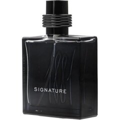 Nino Cerruti Cerruti 1881 Signature EDP meestele 100 ml hind ja info | Meeste parfüümid | kaup24.ee