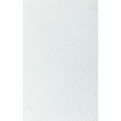 Grosfillex seinakatteplaat "Gx Wall+", 11 tk, kivi, 30 x 60 cm, valge hind ja info | Lae-, seinakaunistus elemendid | kaup24.ee