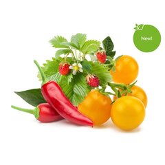 Click and Grow Smart Garden Refill Segu 9 marjast ja köögiviljast hind ja info | Nutipotid ja seemned | kaup24.ee