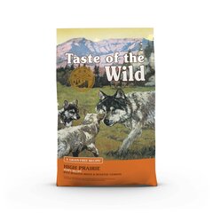 Kuivtoit kutsikatele Taste Of The Wild "High Prairie ", 2 kg hind ja info | Kuivtoit koertele | kaup24.ee
