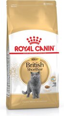 Kassitoit Royal Canin British shorthair 4 kg hind ja info | Kuivtoit kassidele | kaup24.ee
